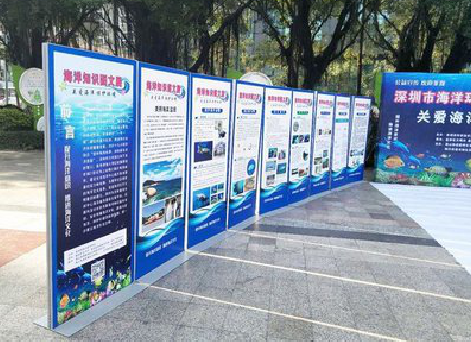 安龙KT板的种类和知识。